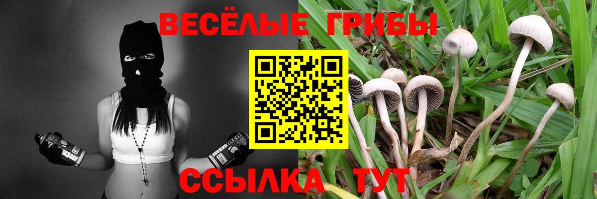 Галлюциногенные грибы ЛСД Подольск