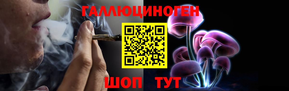 Подольск  Псилоцибиновые грибы Magic Shrooms  купить   Галлюциногенные грибы GOLDEN TEACHER  Вход с VPN 